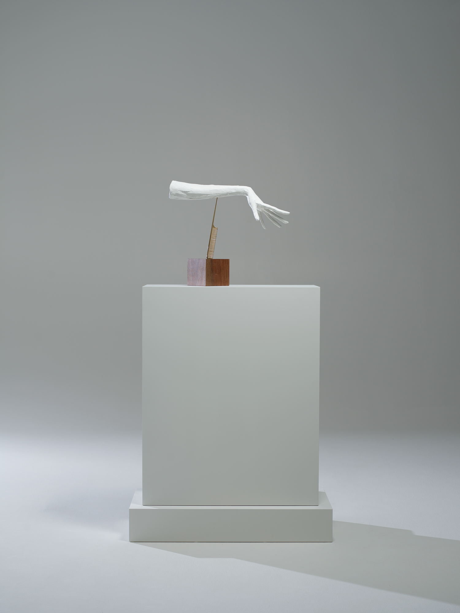 11 / THE TRAFALGAR 2